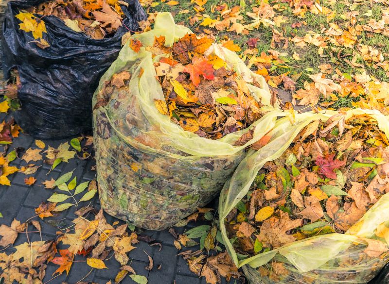 Fall Lawn Debris Collection