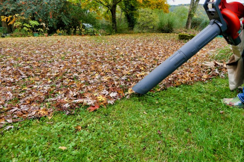Seasonal Lawn Maintenance Tools