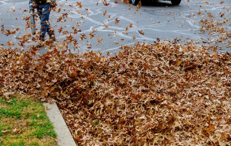 Leaf Blowing and Collection