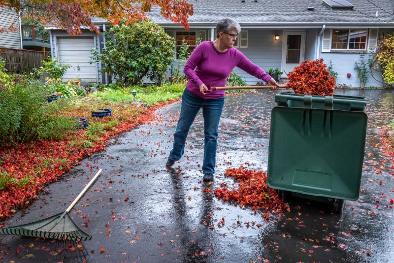 Preparing the Yard for Winter