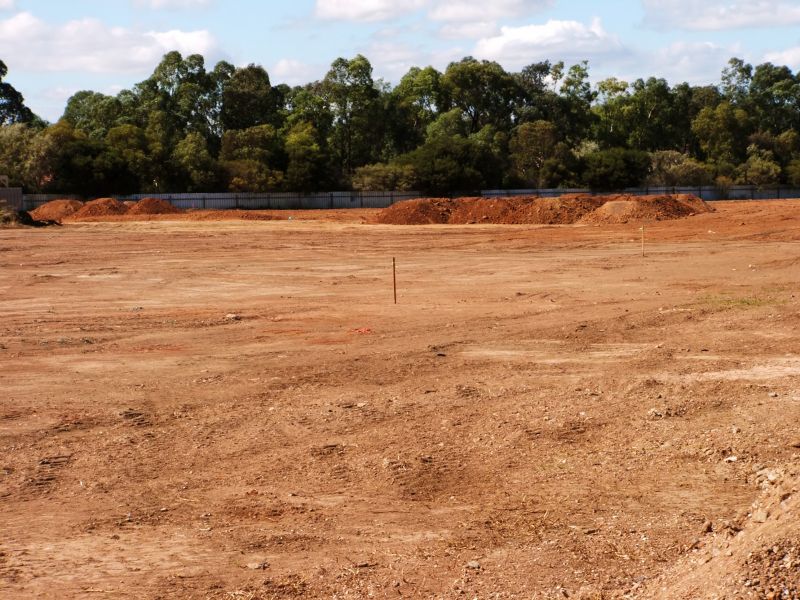 Land Development Rock Clearing